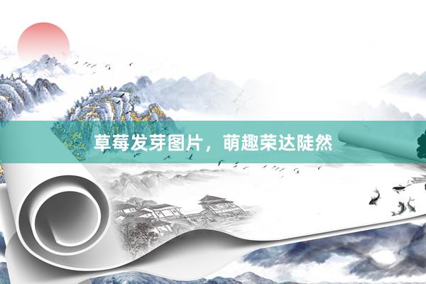 草莓发芽图片,萌趣荣达陡然