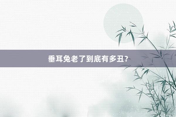 垂耳兔老了到底有多丑?