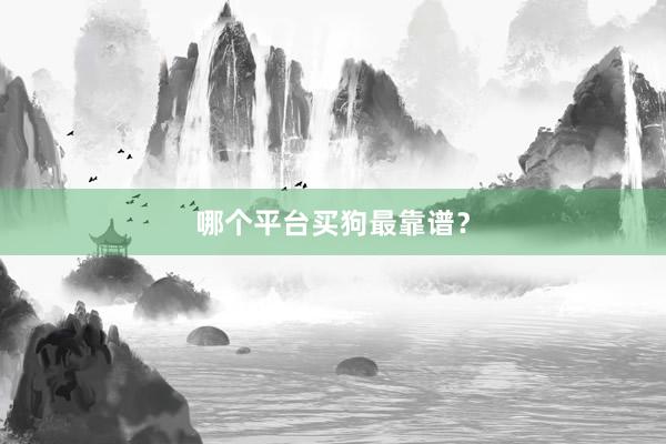 哪个平台买狗最靠谱？