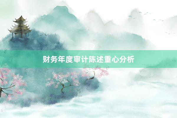 财务年度审计陈述重心分析