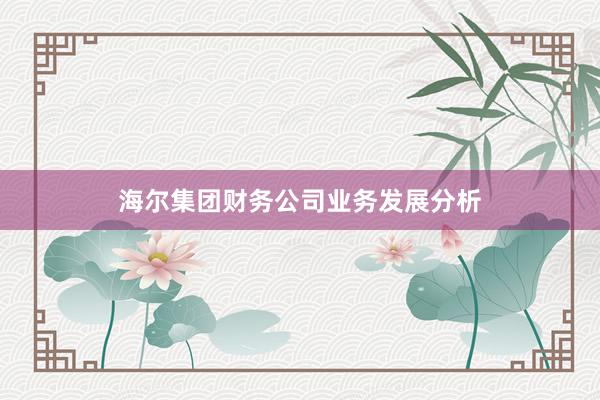 海尔集团财务公司业务发展分析